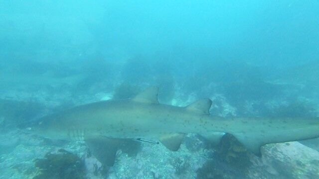 319b7026-8634-4443-889e-b721caa9c486