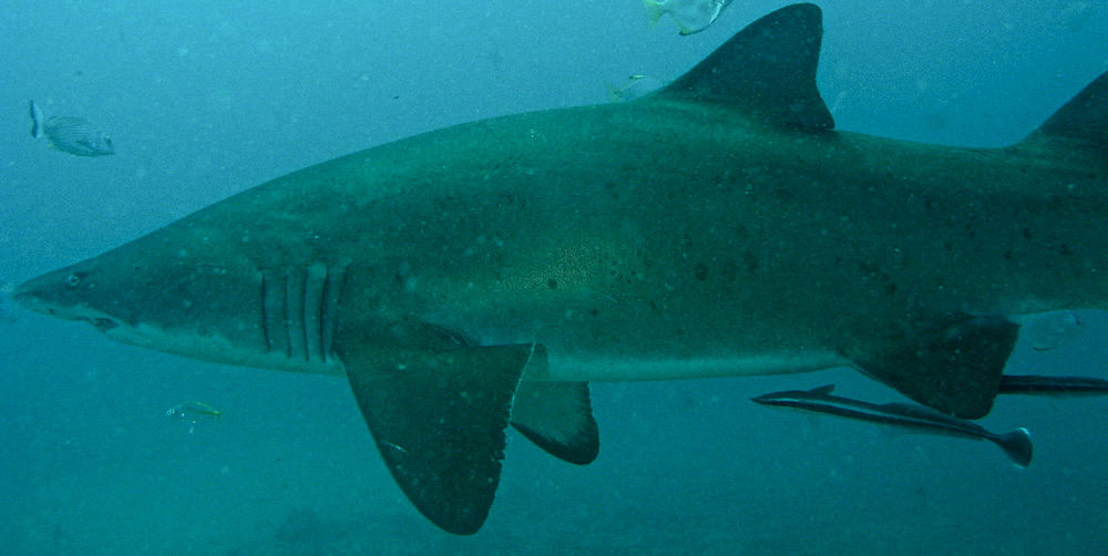 7c41c82e-8999-4e9b-9d65-81317348cbec