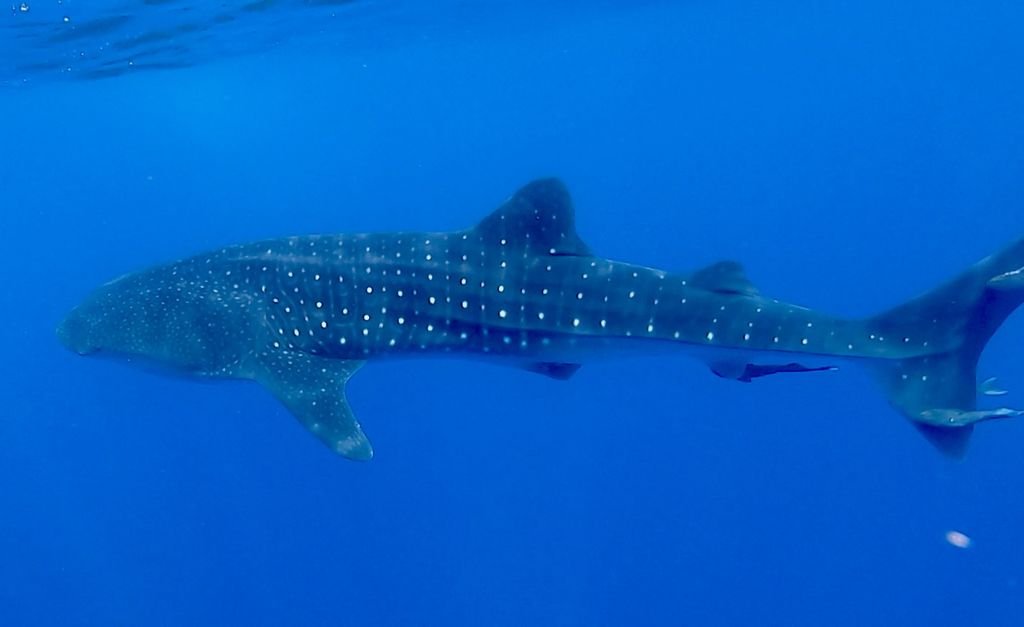 2be34d91-e6cf-4a8b-b5eb-3fff1da1da57