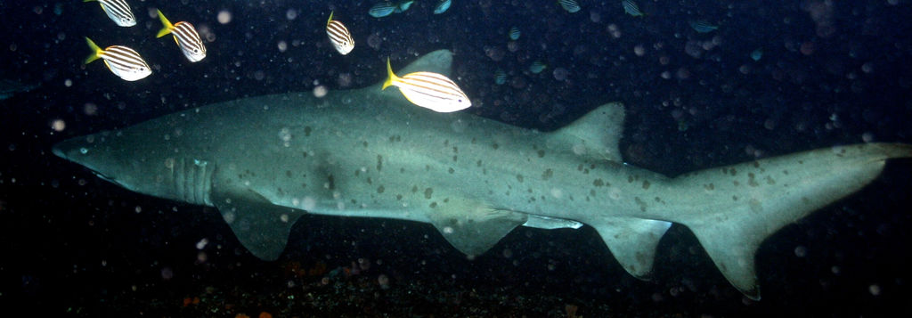 47b4e9bc-e6e3-4f96-bdf8-6d6f98eb084b