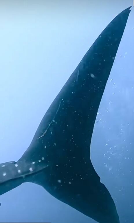 e7feaa55-5396-4589-b6dd-b795ee3d7c1e