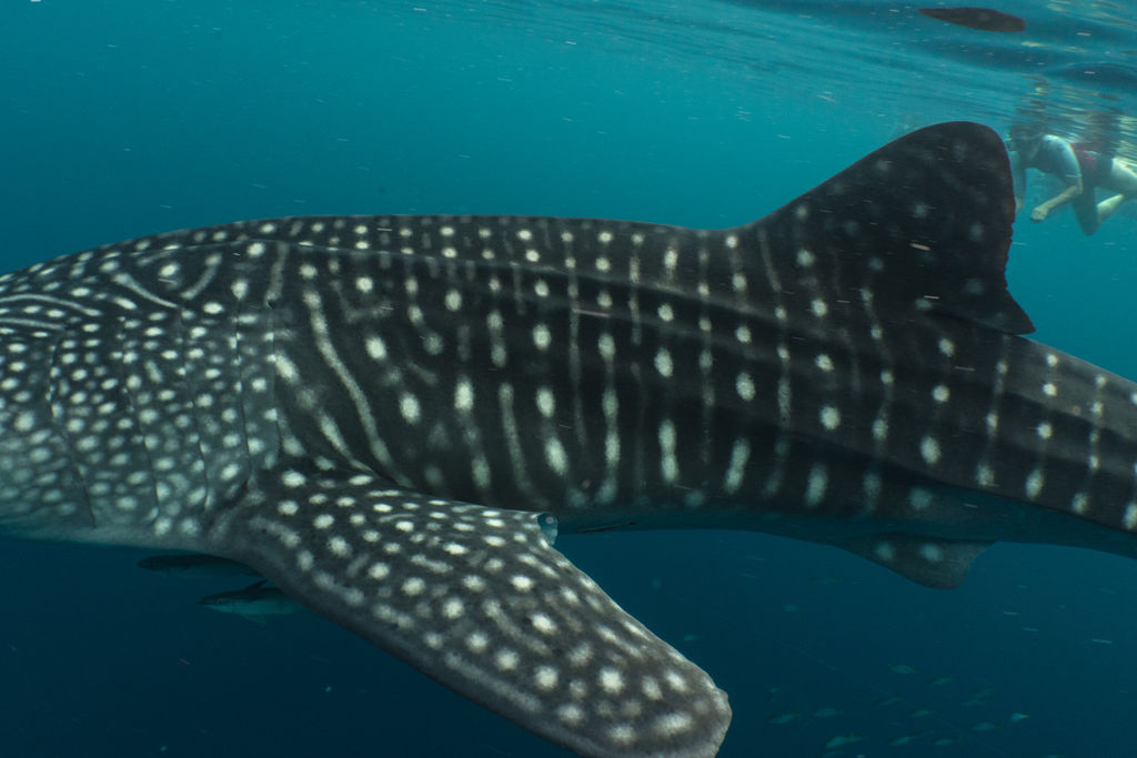 d50fb32e-275f-47d8-b596-40ee30eaa0ef