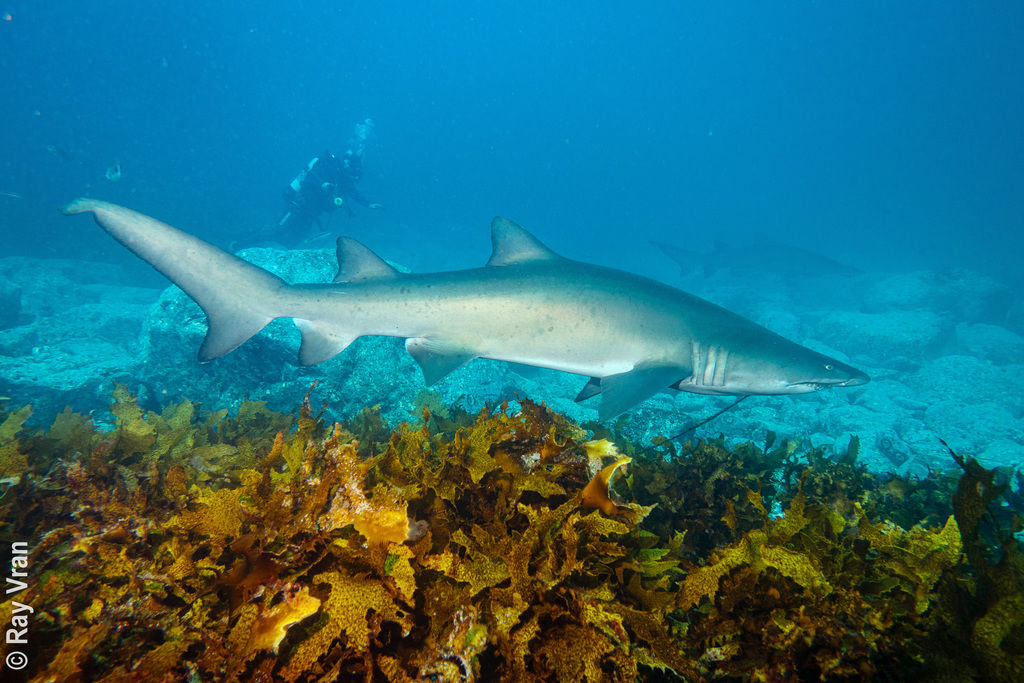 a37e9c9a-8927-43a1-8c6c-542e8bf8138f