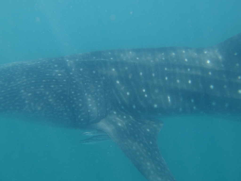 1c2bff9f-04f5-49f6-8b1f-ecfe5541c6cd