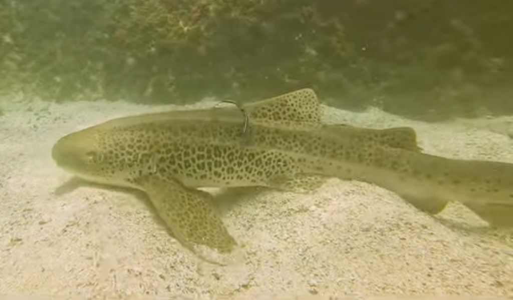 f364b09d-8fe5-495d-956d-f93f948dba0e