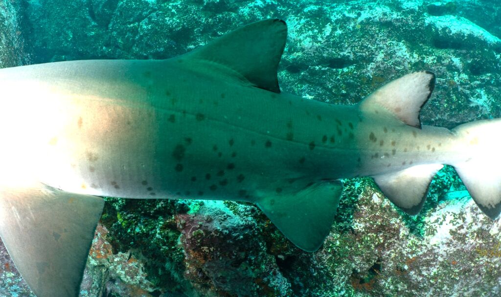 d74bd794-f6e3-44a5-a64b-c00f205ae668