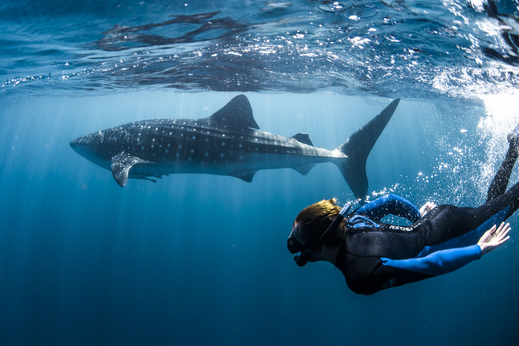 916dc8bb-48a9-4c18-984f-a39a0caab602