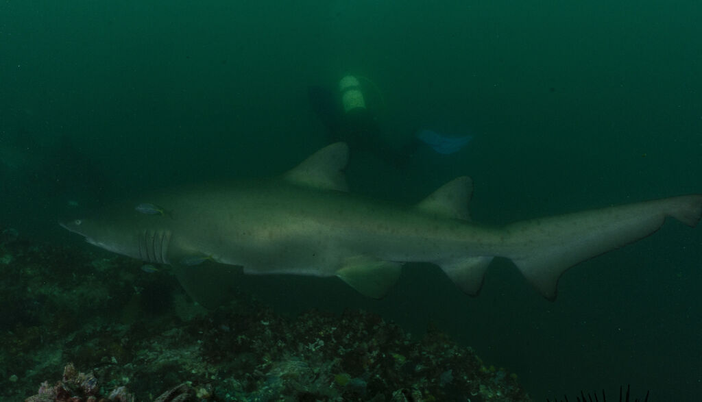 a27df3b2-bba3-4fd3-9579-42be446838a6