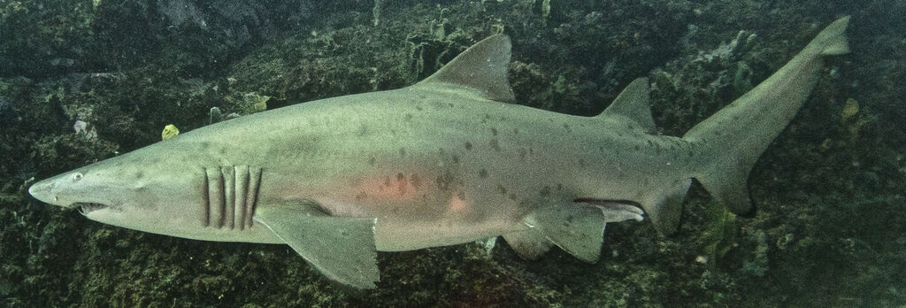 15290b99-f307-4915-bbe6-f51edf26df91