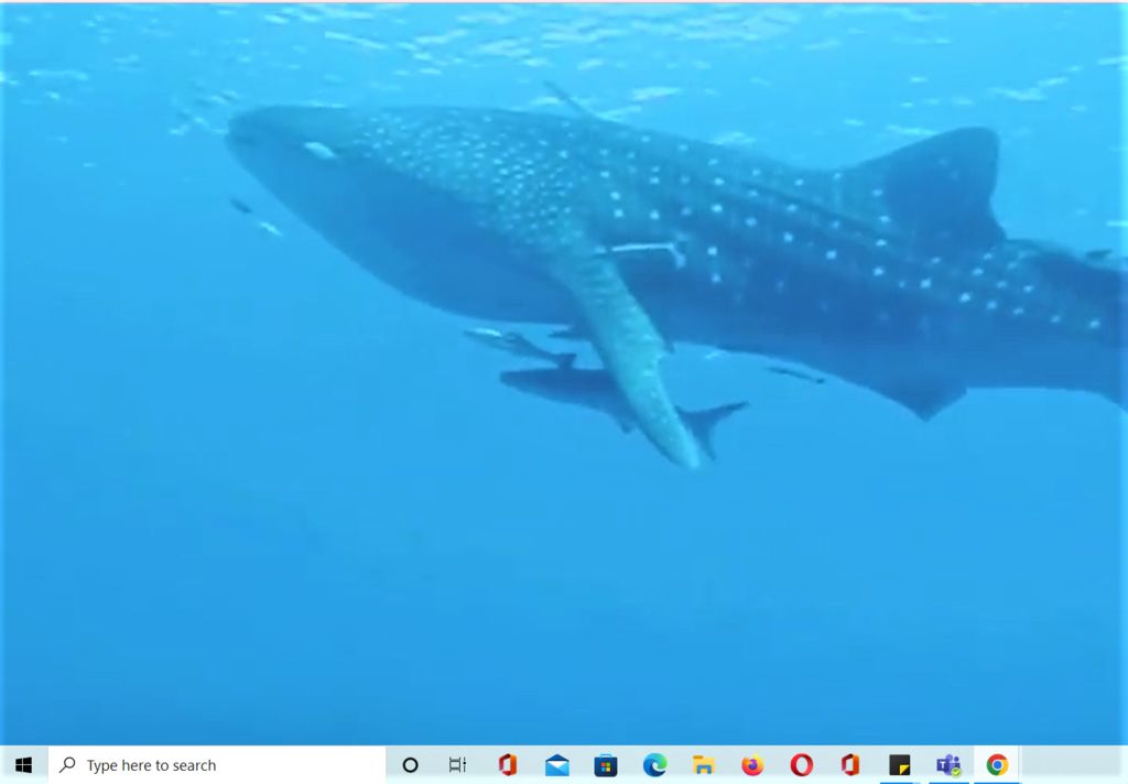 58f12568-d1a4-4604-a716-611402405a17