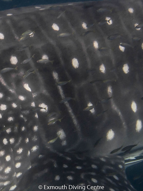 6a383b2c-340a-4c26-bb46-4deb015c561f