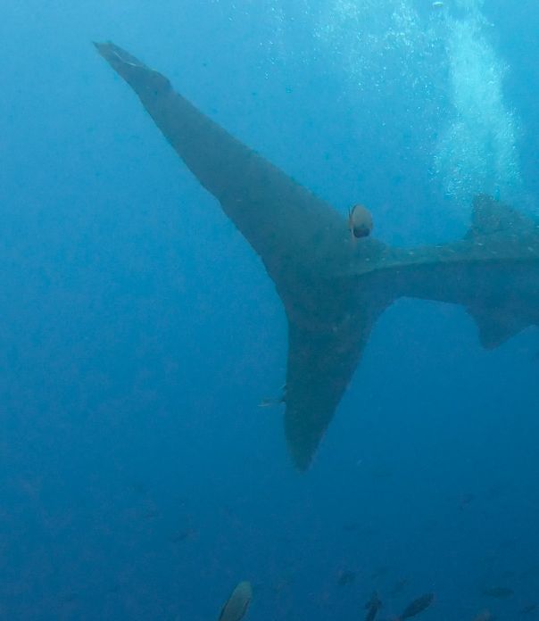 077afb68-0a20-48ea-88b3-0f5efe53a190