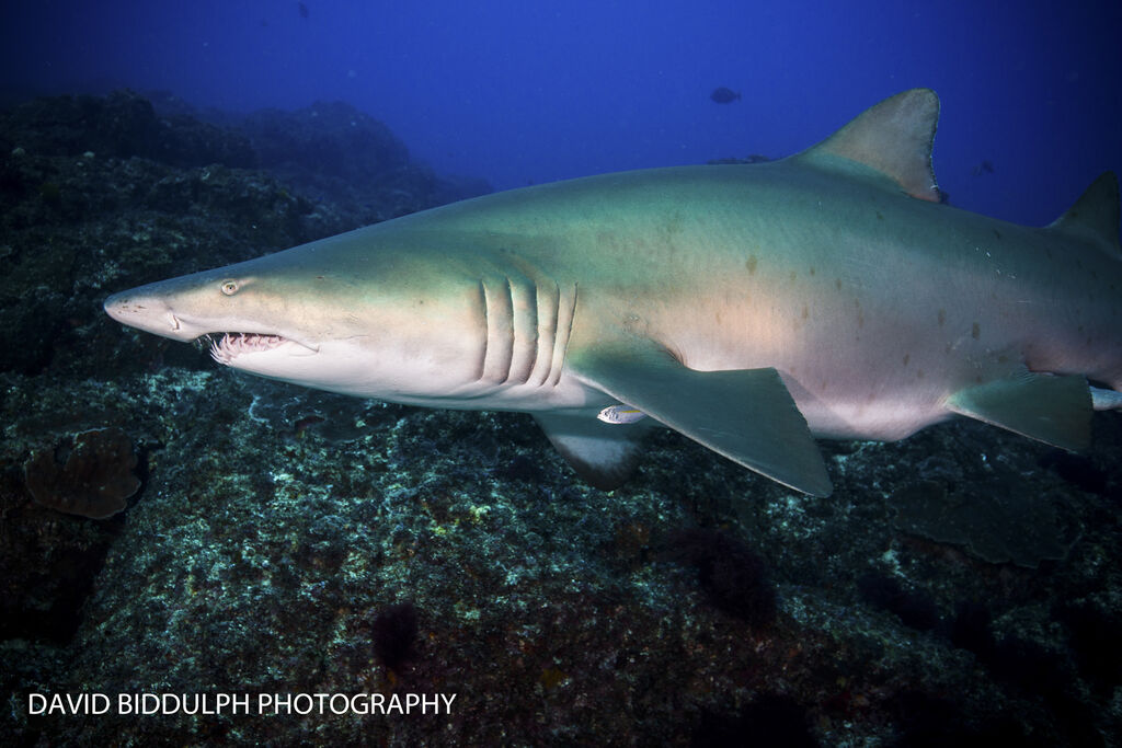 a9e9fa57-b0cb-444e-8cf5-ecf2aafdb77e