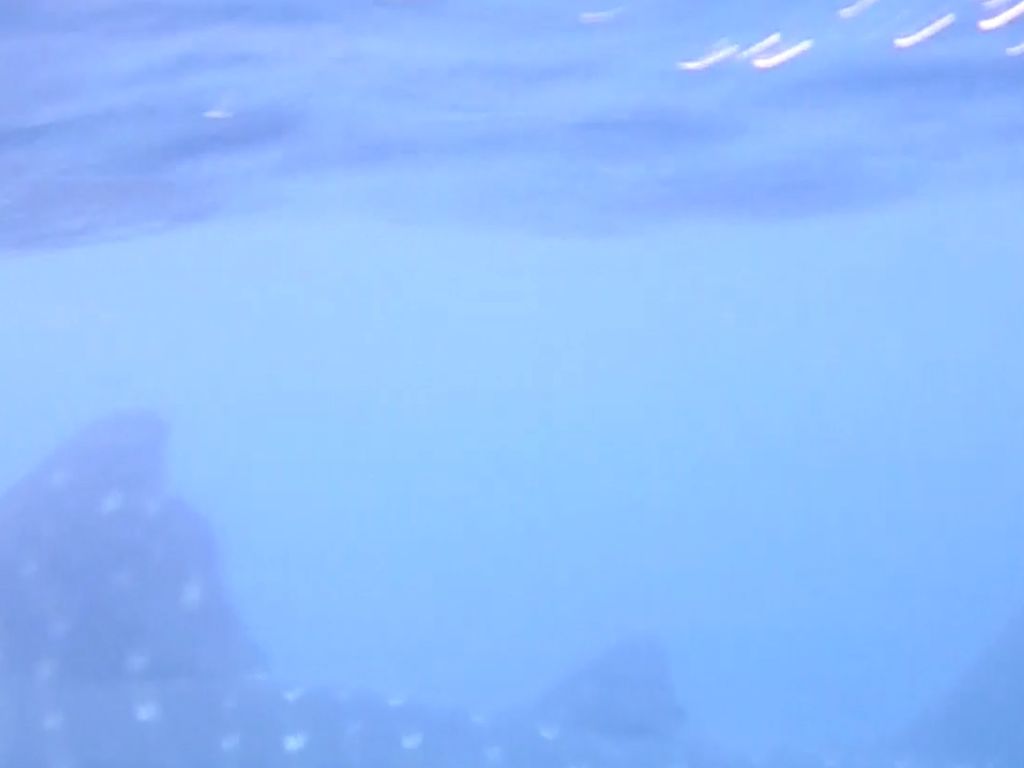 9a37afaa-1874-4674-8835-d0d4db7b80bc