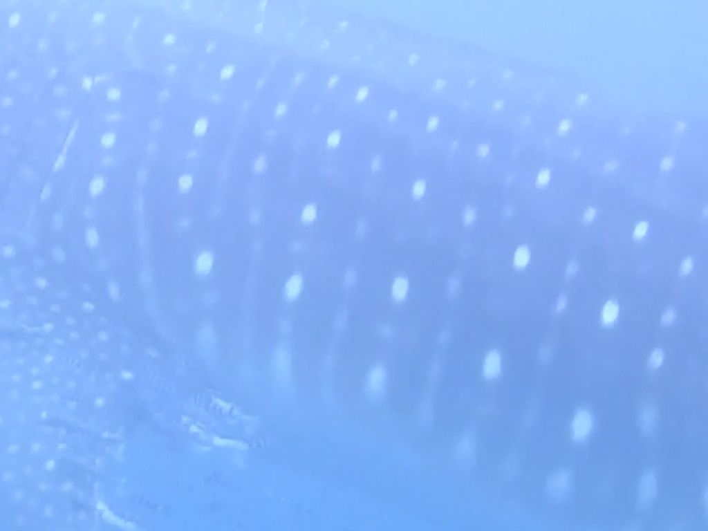 9a37afaa-1874-4674-8835-d0d4db7b80bc