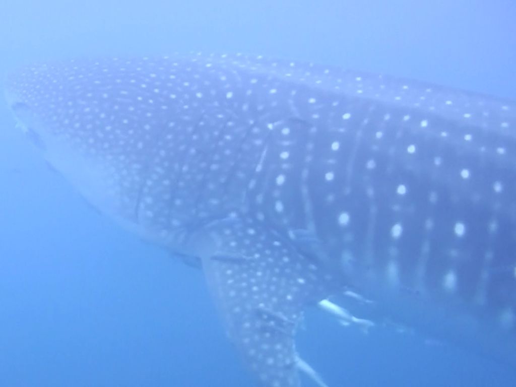 9a37afaa-1874-4674-8835-d0d4db7b80bc