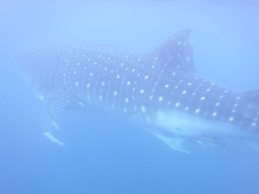 9a37afaa-1874-4674-8835-d0d4db7b80bc