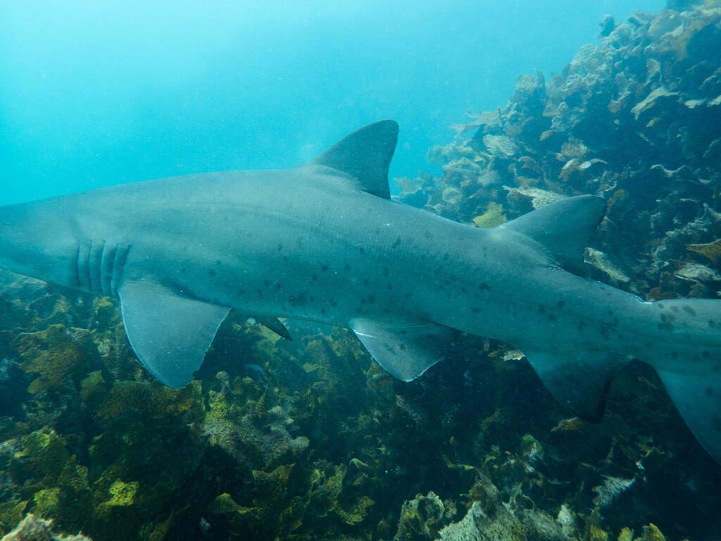 79e877b6-09cd-4d3e-ad1a-dd4347172f8e