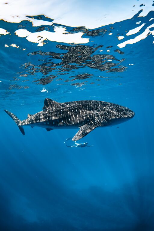 6ec8bec3-8698-4374-8b33-2c5efef6ae14