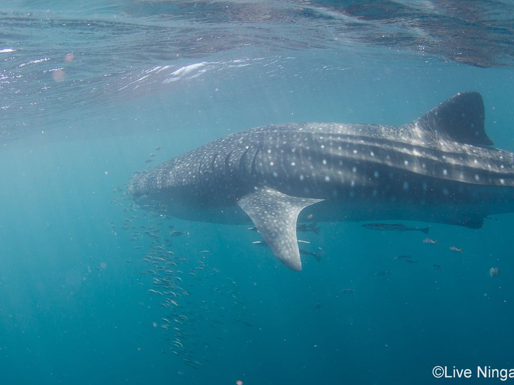 cda510ff-c756-4676-a262-8e6ccb0c0976