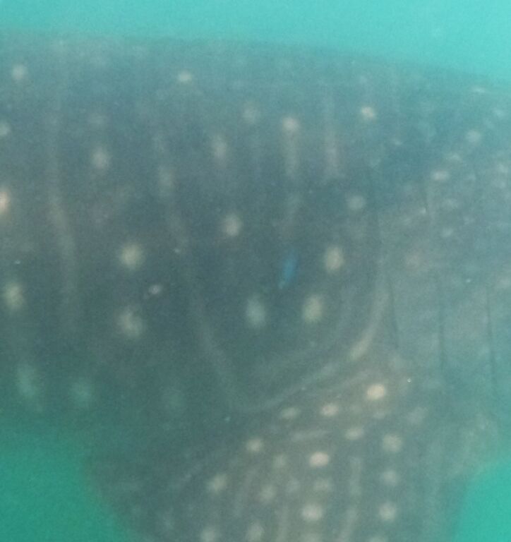 da8826f6-949c-4032-8ec3-2d89872687e5