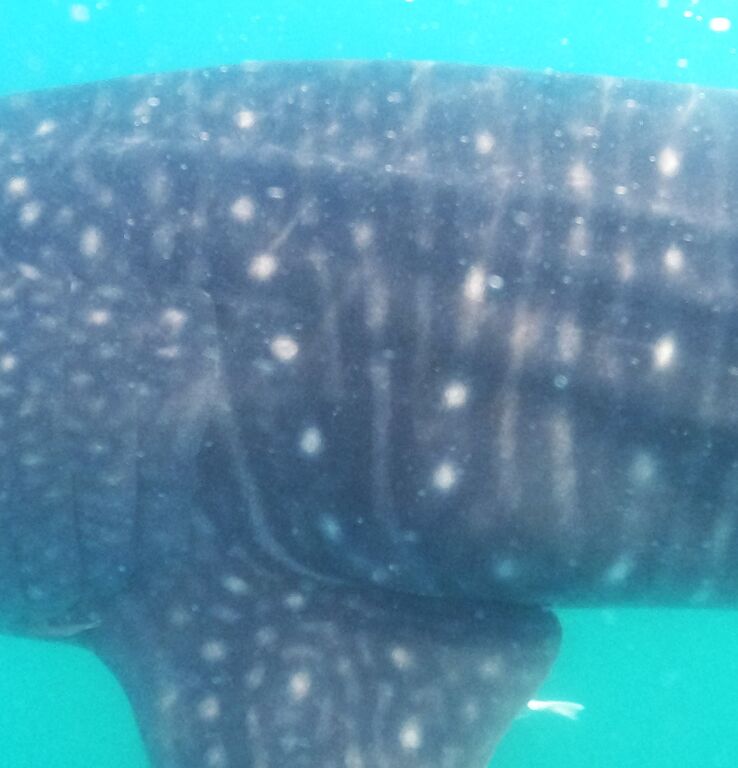 da8826f6-949c-4032-8ec3-2d89872687e5