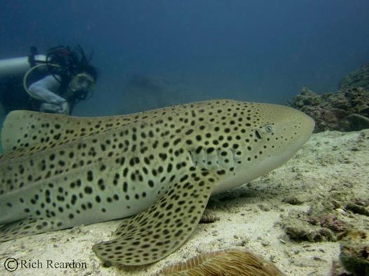 ec3f1382-f3f5-4183-9387-621235a2ef17