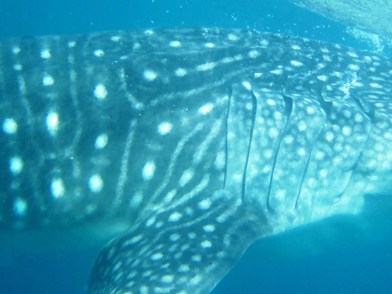 a4cecd0d-8340-4e6c-9a57-38555991cb70