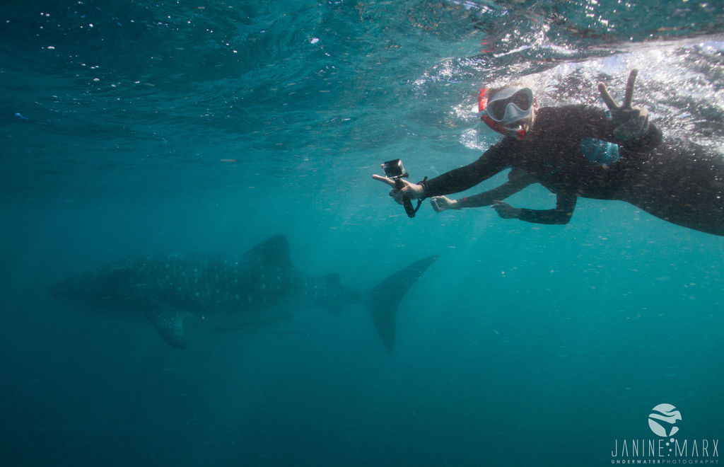 06fda762-e0ec-47d8-a5d2-8b01f167393a