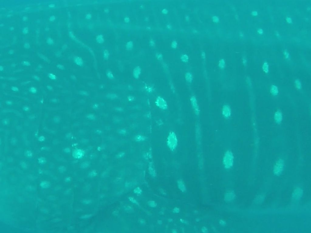 43af72df-209f-47aa-9e61-aa1a09a3b00b