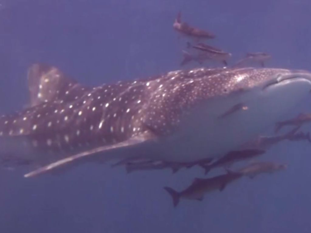 40fc2be0-cd54-486b-9e54-c57e133a1b72