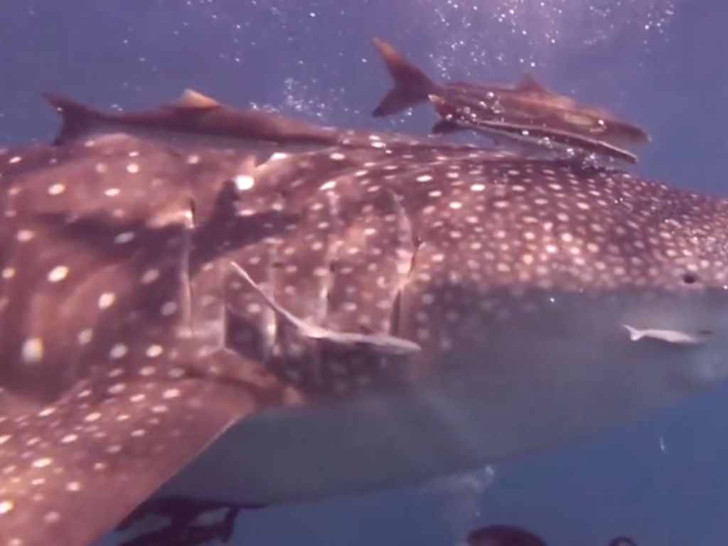 40fc2be0-cd54-486b-9e54-c57e133a1b72