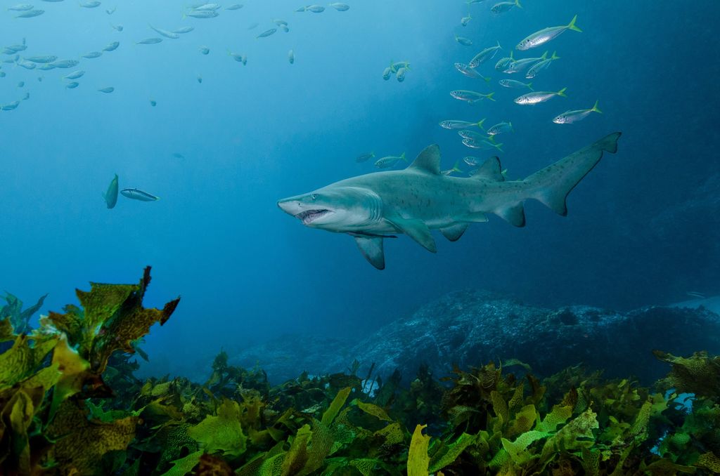 45d9eb30-551b-484b-bb6a-bceb5d61b115