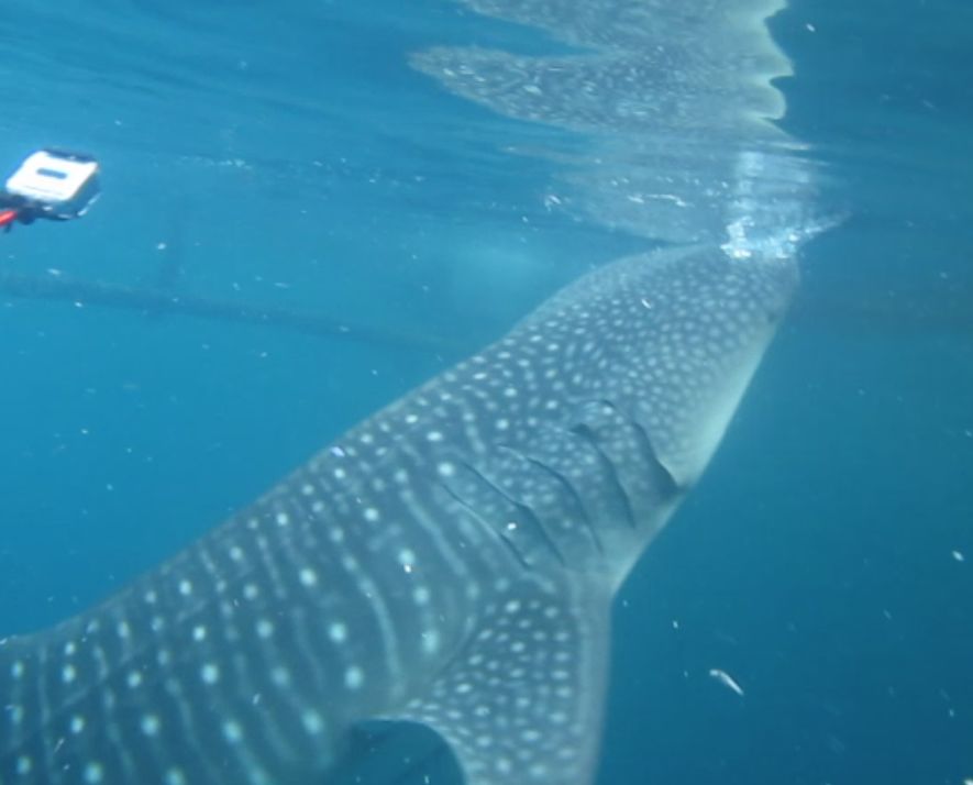 0b981b00-cd7b-4ab4-b996-d633e505499e