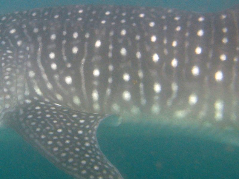 37b79719-e641-4bce-a479-85378e5d23a7