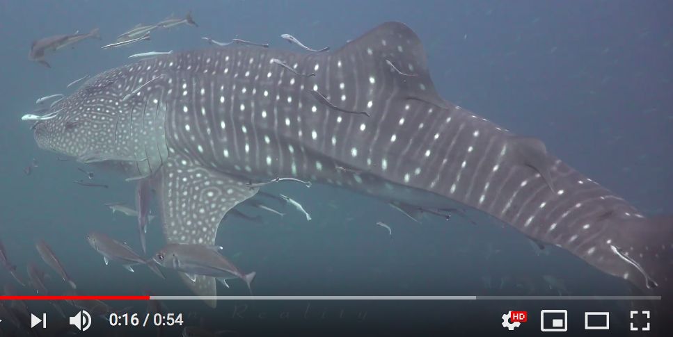 08444ce0-c433-4dcf-bdaf-6001c558bf3b