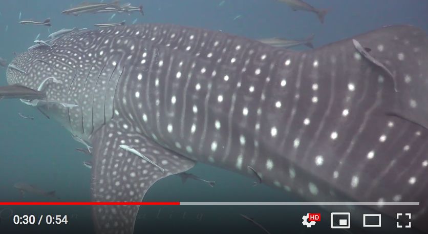 08444ce0-c433-4dcf-bdaf-6001c558bf3b