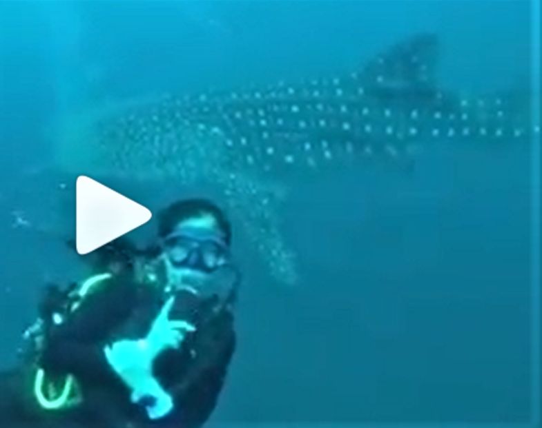 d9baf10a-6c5b-4e8b-9cb0-b753f2900c8f