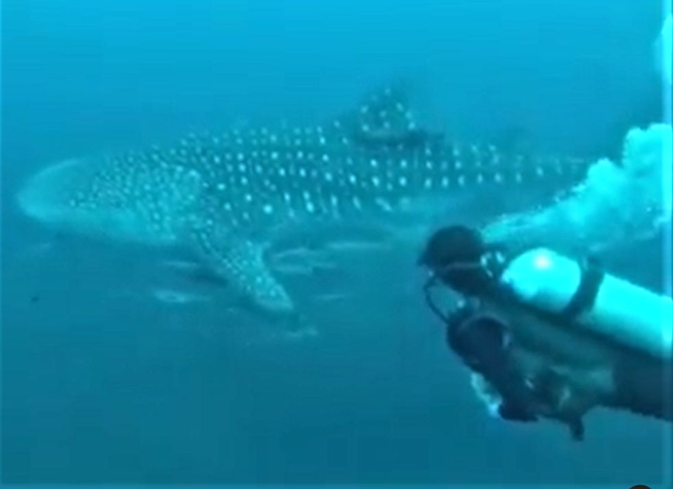 d9baf10a-6c5b-4e8b-9cb0-b753f2900c8f