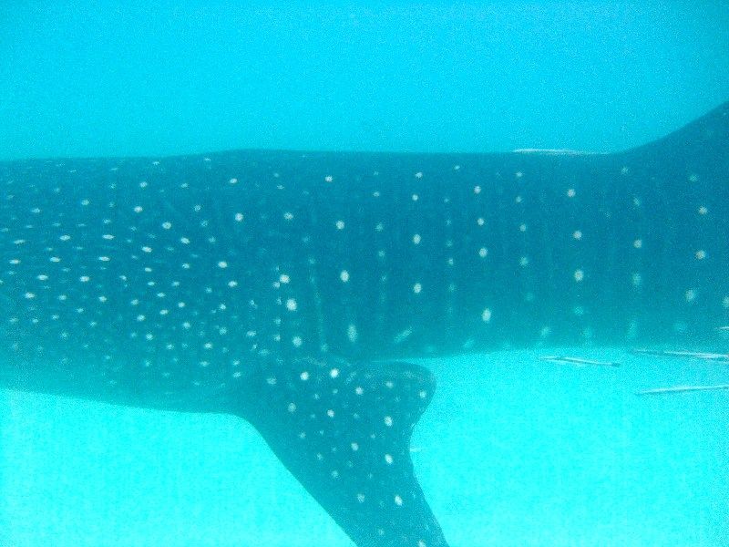 5ea84d8a-c475-43ea-a928-2713af60b950