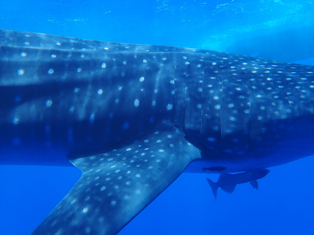 b4166346-e259-4c6a-8fdc-35178aebd756