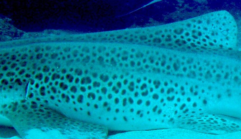 3be0e60c-1605-4f88-9495-55b170e09c2c