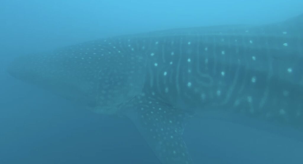 e139b124-d407-4ca4-ad1c-c10f8196c68b