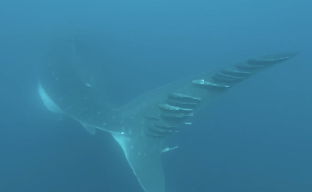 e139b124-d407-4ca4-ad1c-c10f8196c68b