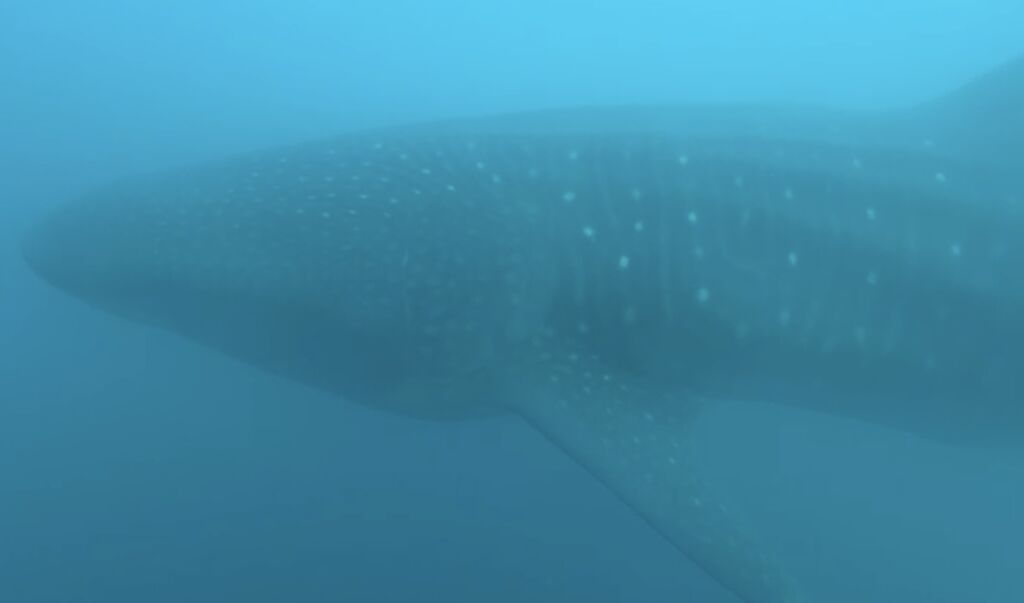 e139b124-d407-4ca4-ad1c-c10f8196c68b