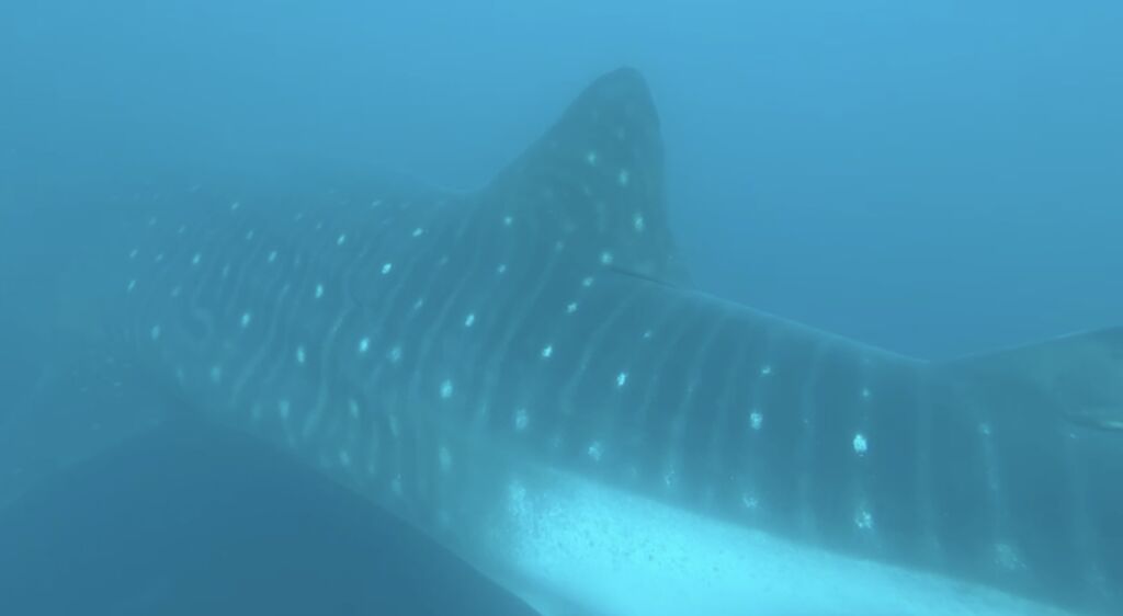 e139b124-d407-4ca4-ad1c-c10f8196c68b