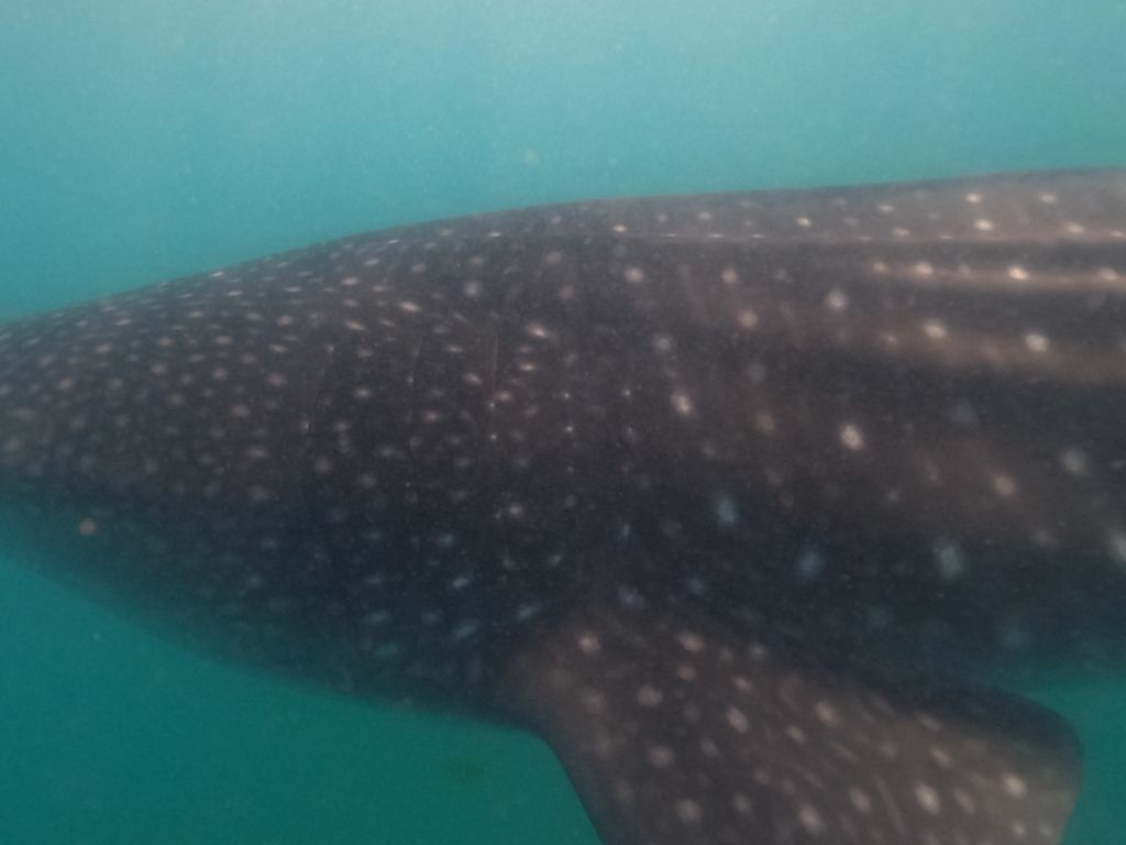 3ca603d9-91c7-4408-aae3-260b2f1d252b