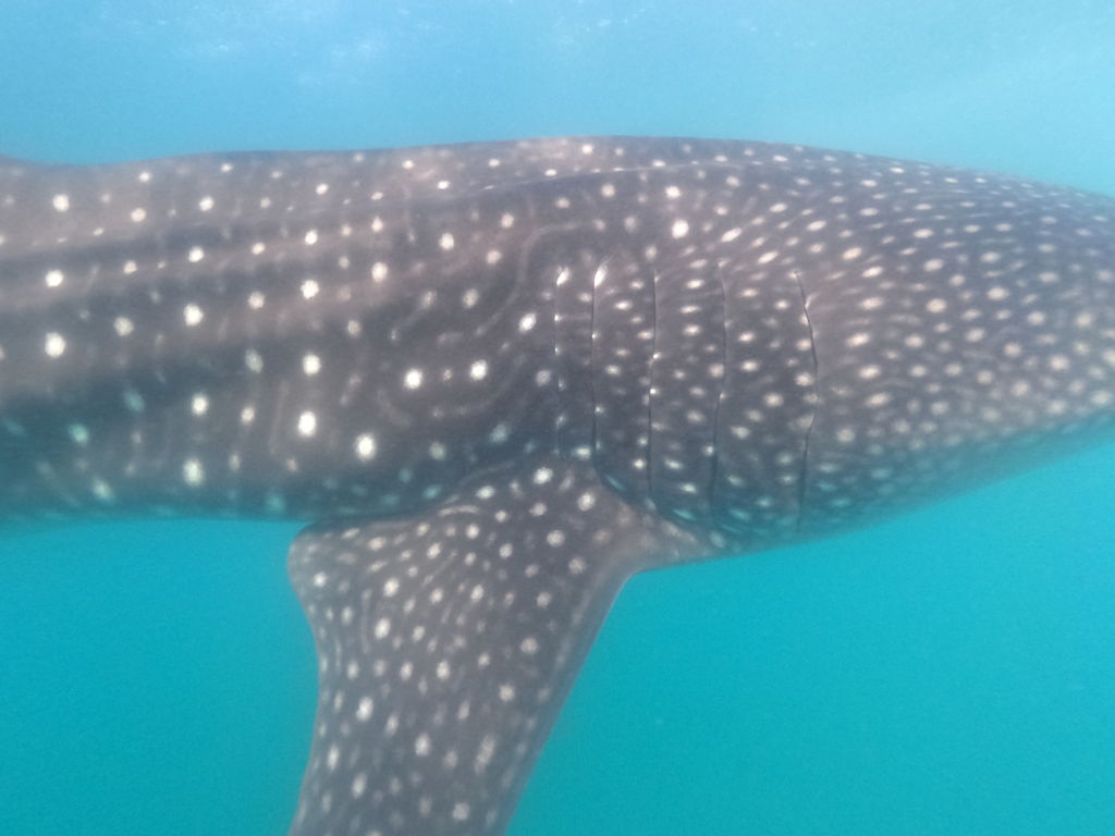 3ca603d9-91c7-4408-aae3-260b2f1d252b