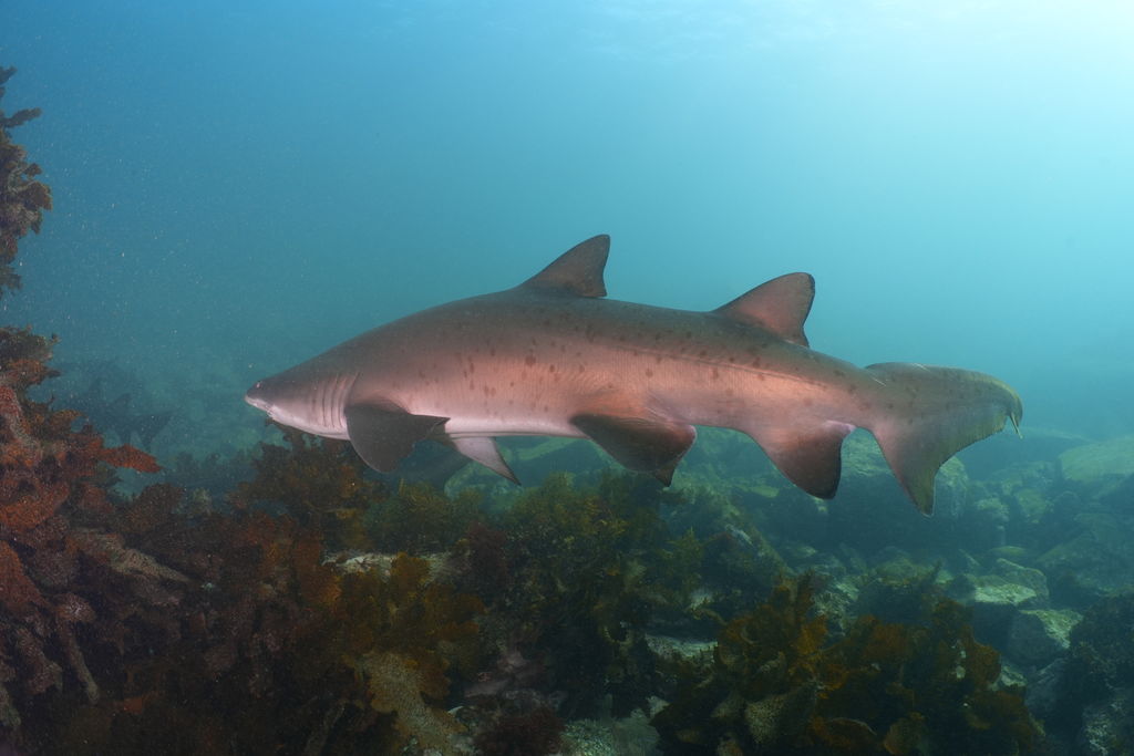 b3edd3de-ad78-443e-94d8-b252c4d0818b