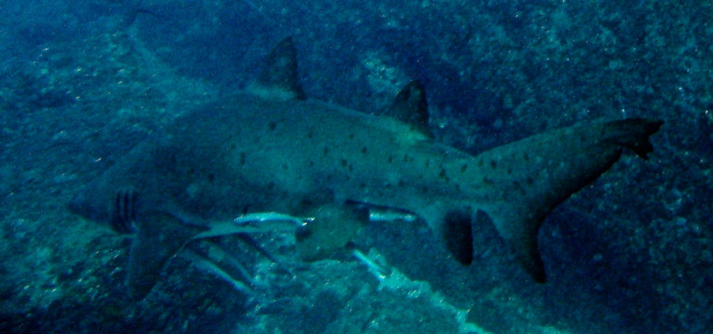 64cb8d3b-e10b-40c8-83f8-1829a5bf5882